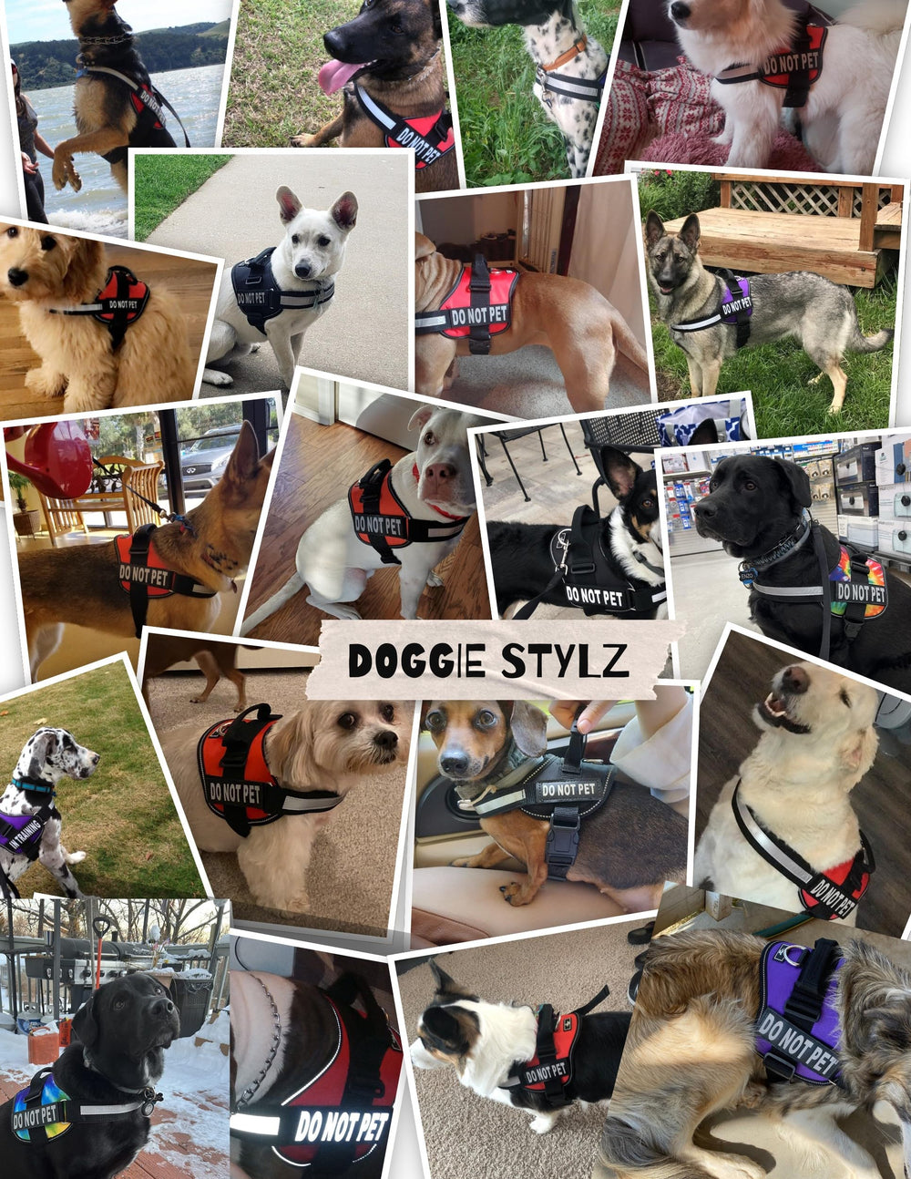 Harnais Doggie Stylz durable pour entraînement et marche.