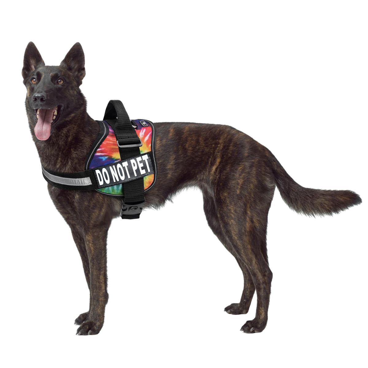 Harnais Doggie Stylz avec patch Ne pas caresser pour garder l'espace lors des interactions.
