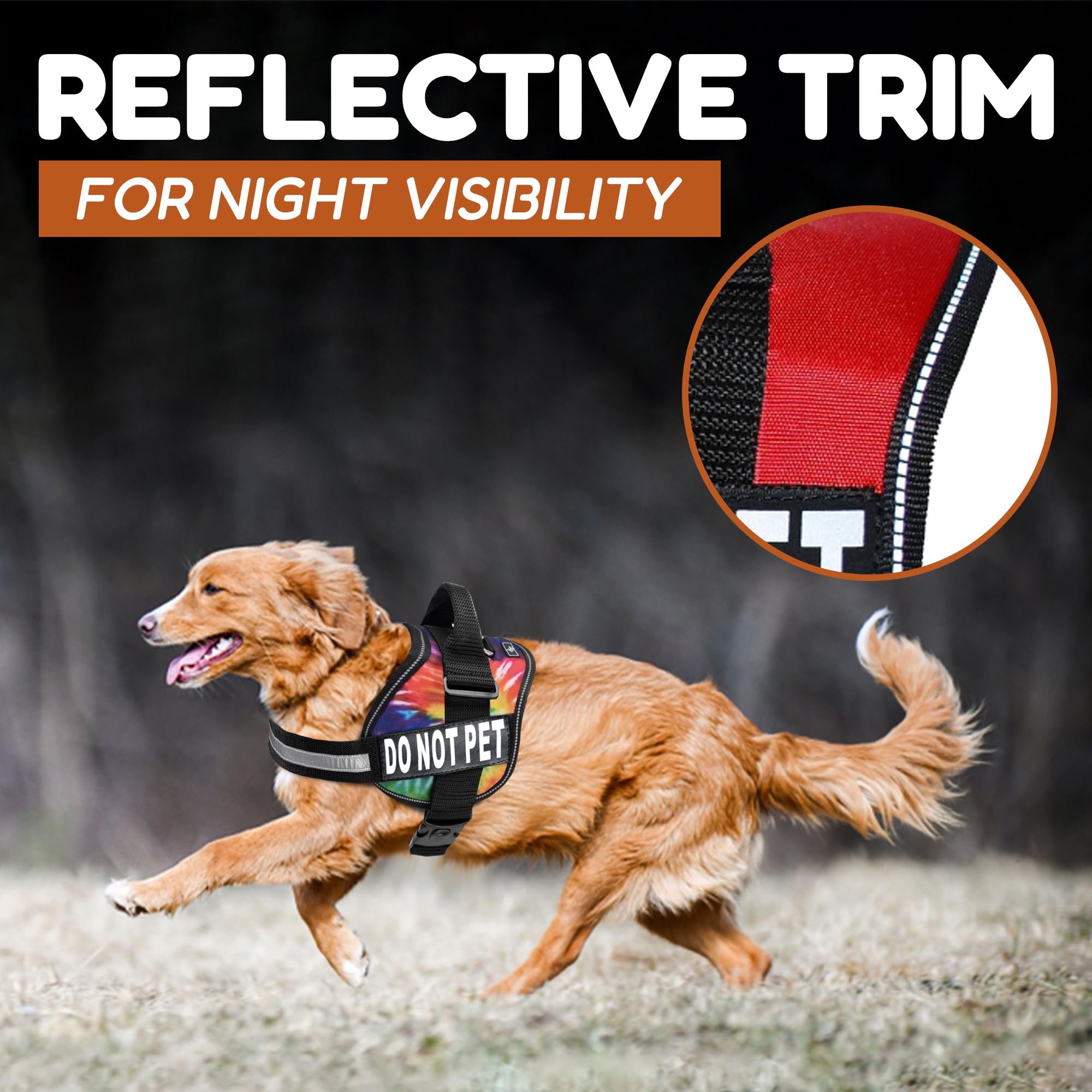 Confort du néoprène Doggie Stylz pour les longues promenades