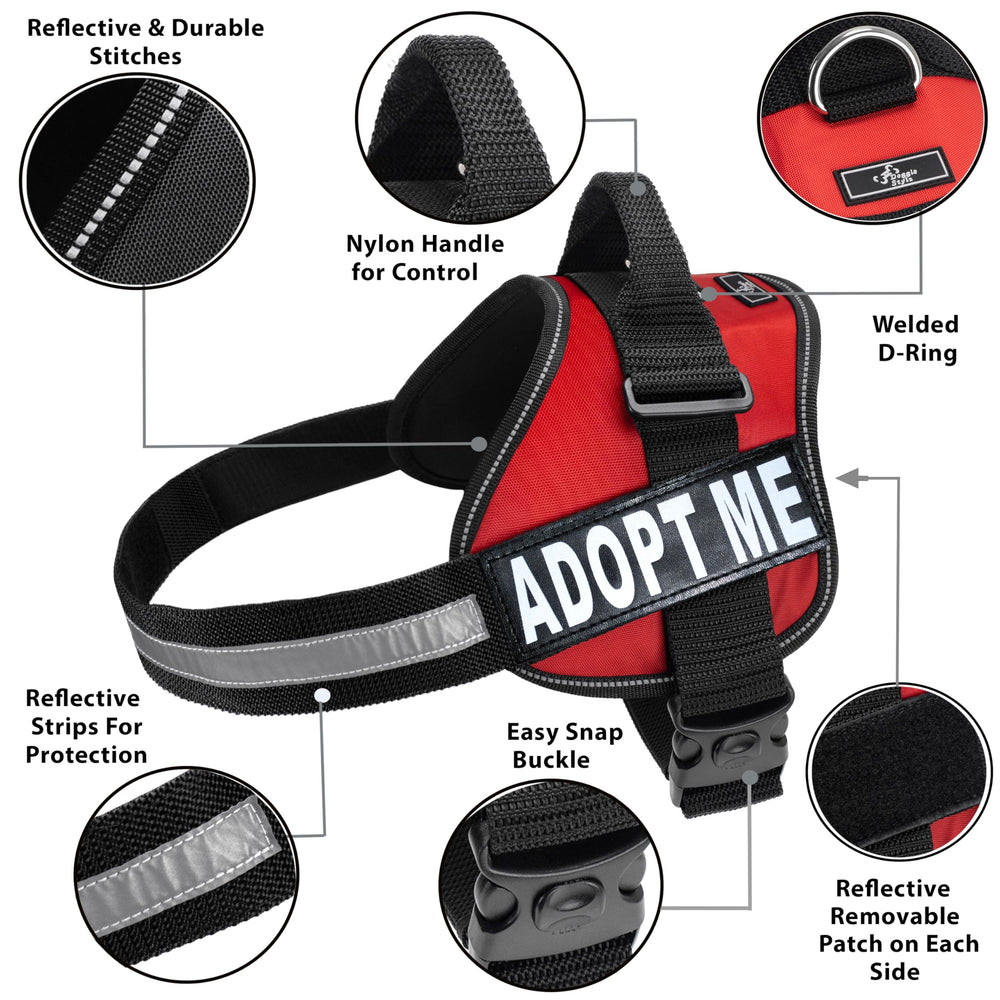 Patchs réfléchissants amovibles Doggie Stylz pour une visibilité nocturne optimale.