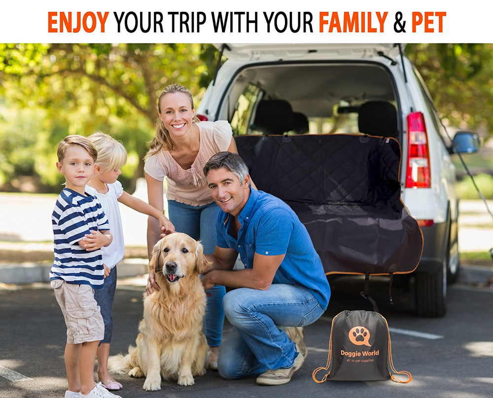 Doggie World protection siege arriere evite griffures et traces de salete.