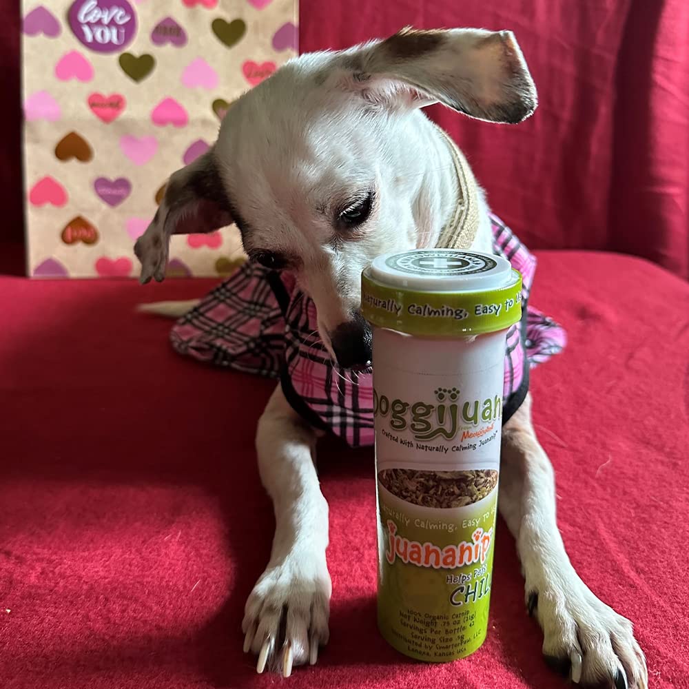 Doggijuana utilisation sur nourriture et friandises, pour un calme après repas.