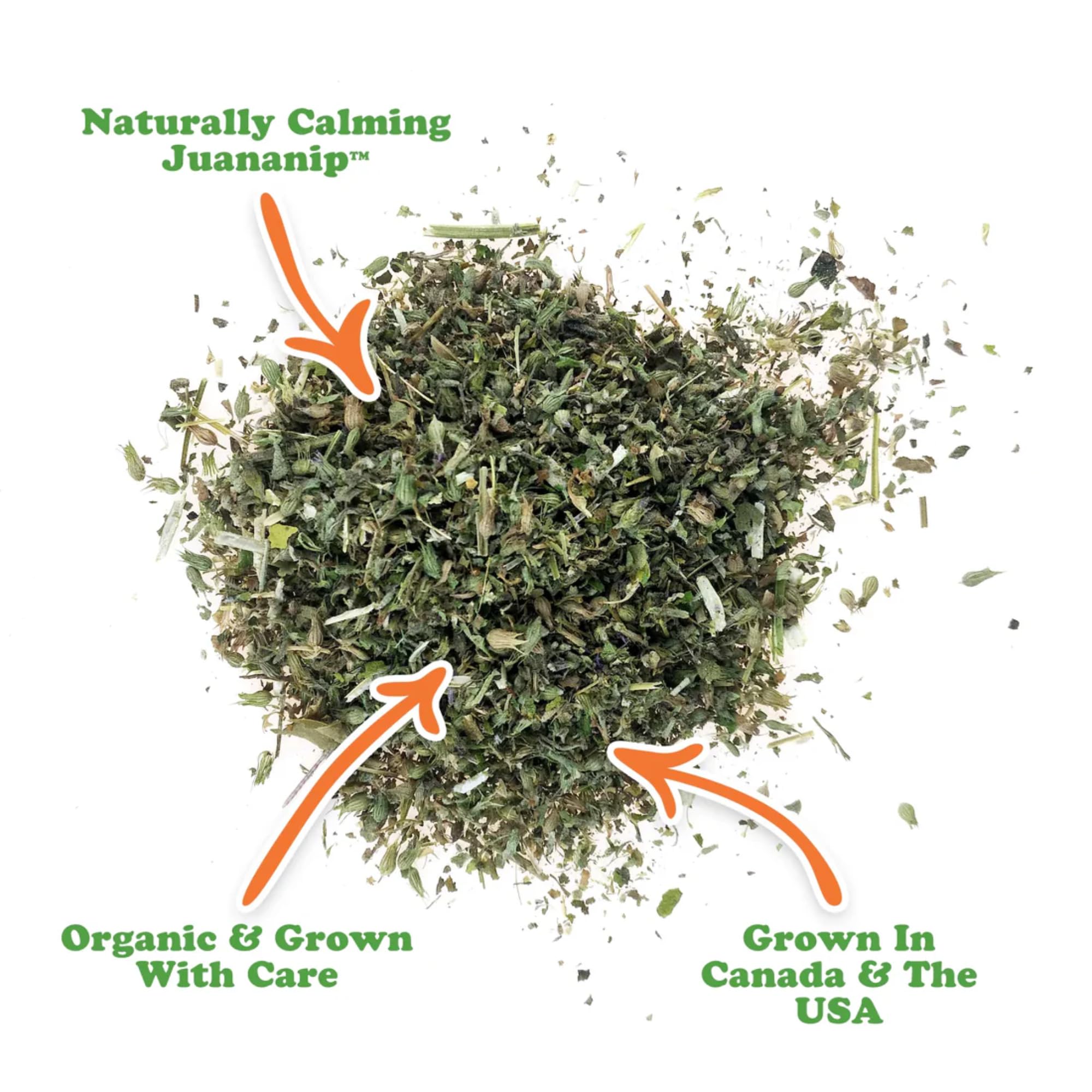 Doggijuana cataire biologique, poudre pour chiens, usage facile sur nourriture.