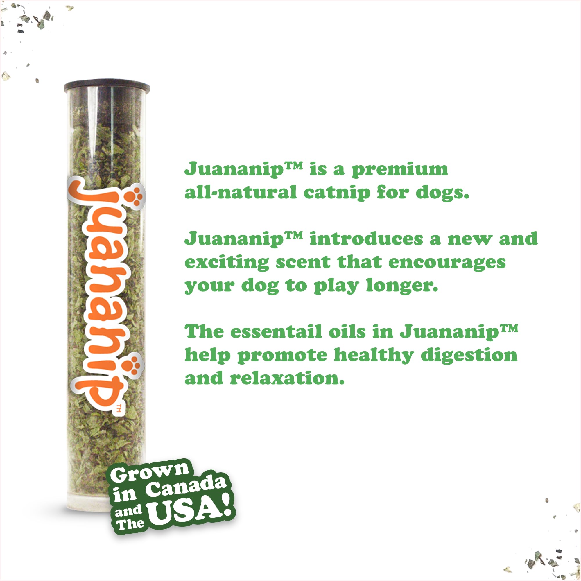 Chiens utilisant Doggijuana pour un moment calme grâce au parfum