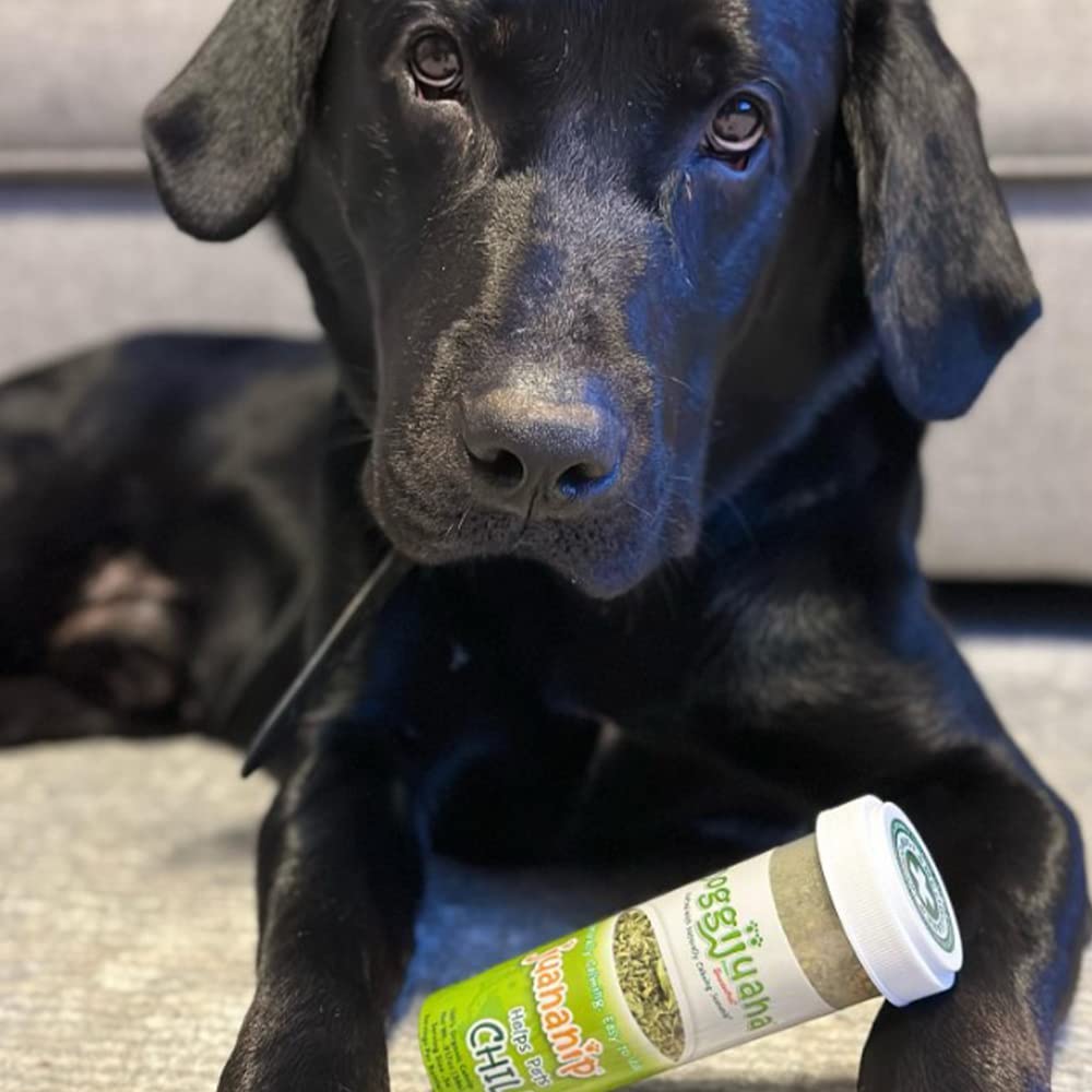 Jouet Doggijuana avec Juananip, stimulation sensorielle et relaxation.