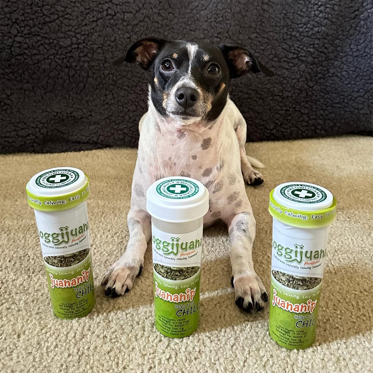 Doggijuana sans additifs, sécurité et douceur pour chiens sensibles.
