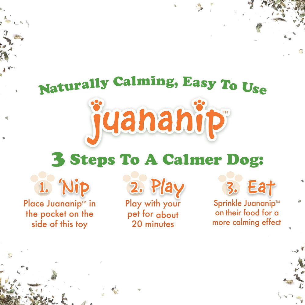 Doggijuana Tuffer chien sniffant: stimulation sensorielle et curiosité.