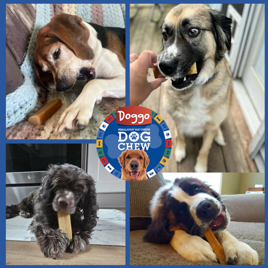 Doggo Dog Chew ingrédients 100% naturels sans additifs
