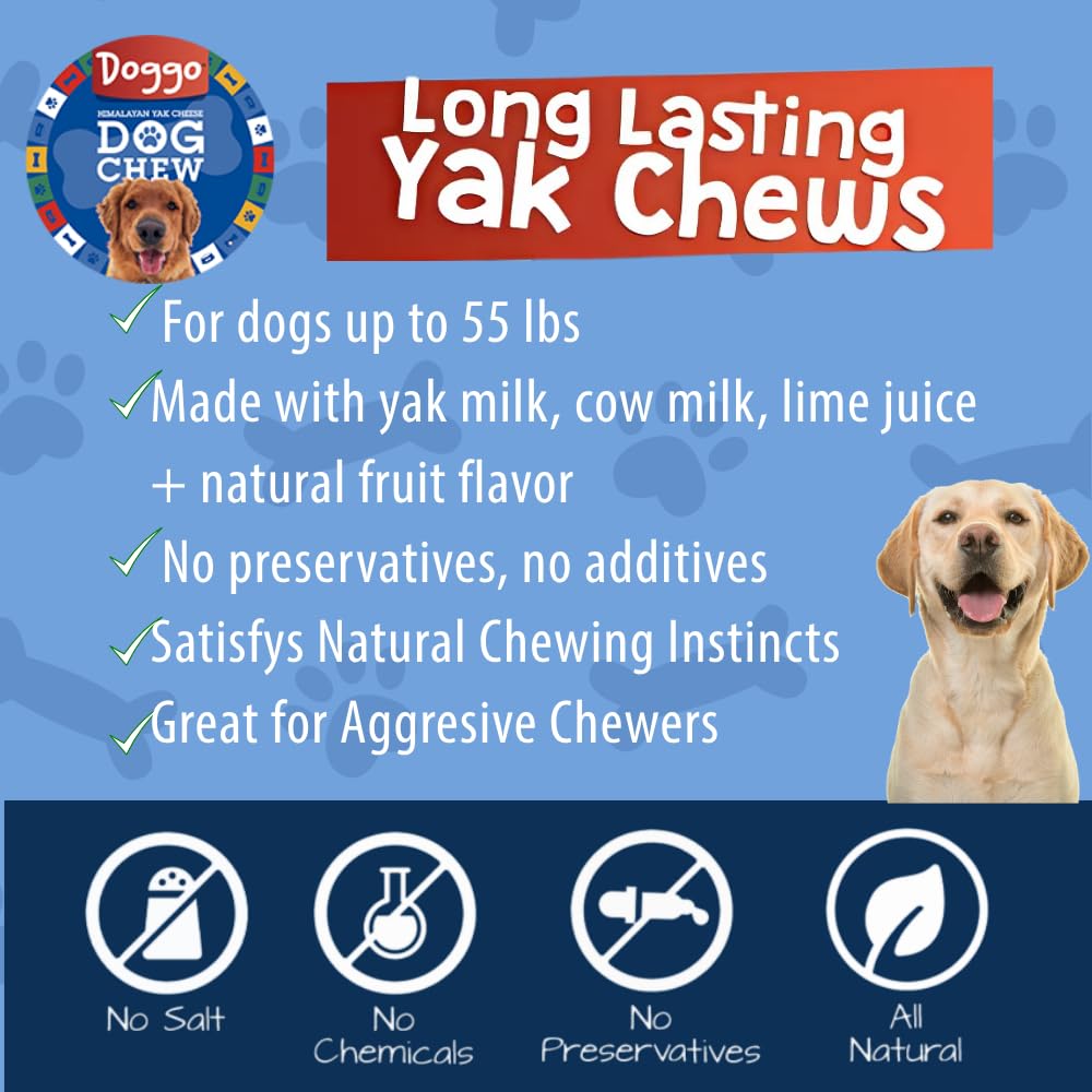 Doggo Dog Chew adapté à toutes les tailles de chien.
