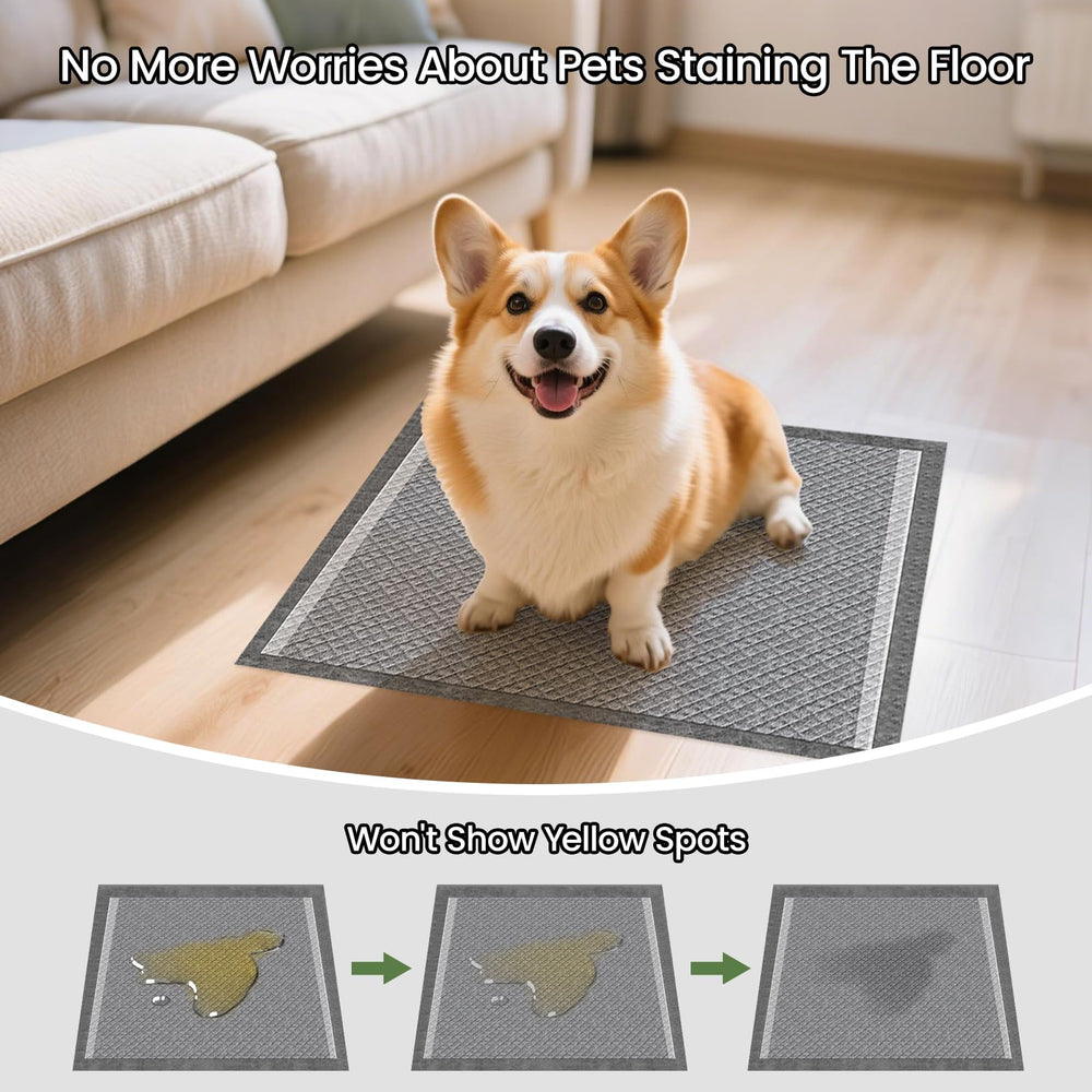 DOGGO DOUG Couches Charbon Absorption Rapide: surface reste sèche
