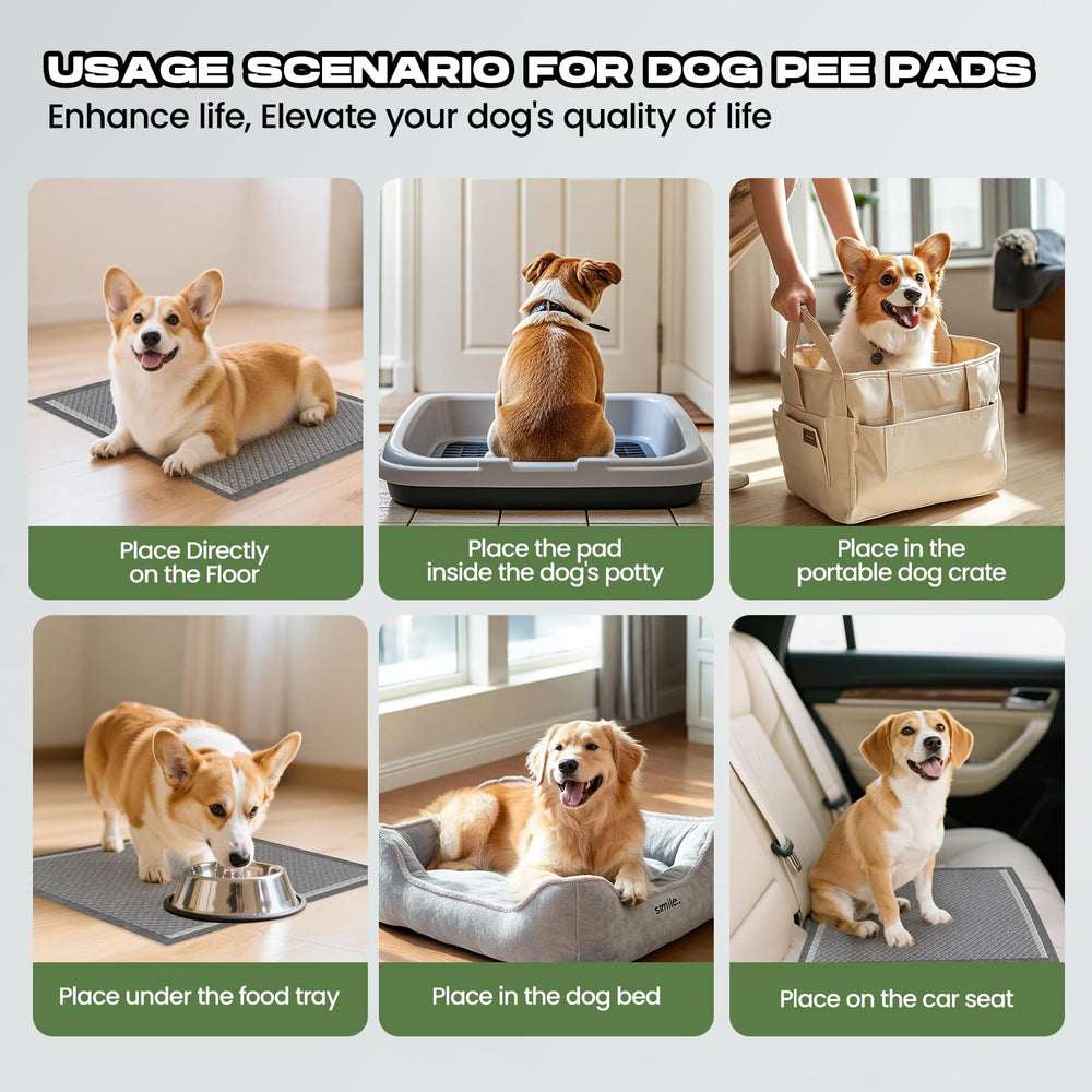 DOGGO DOUG Couches Charbon Utilisations Multiples: maison et voyage