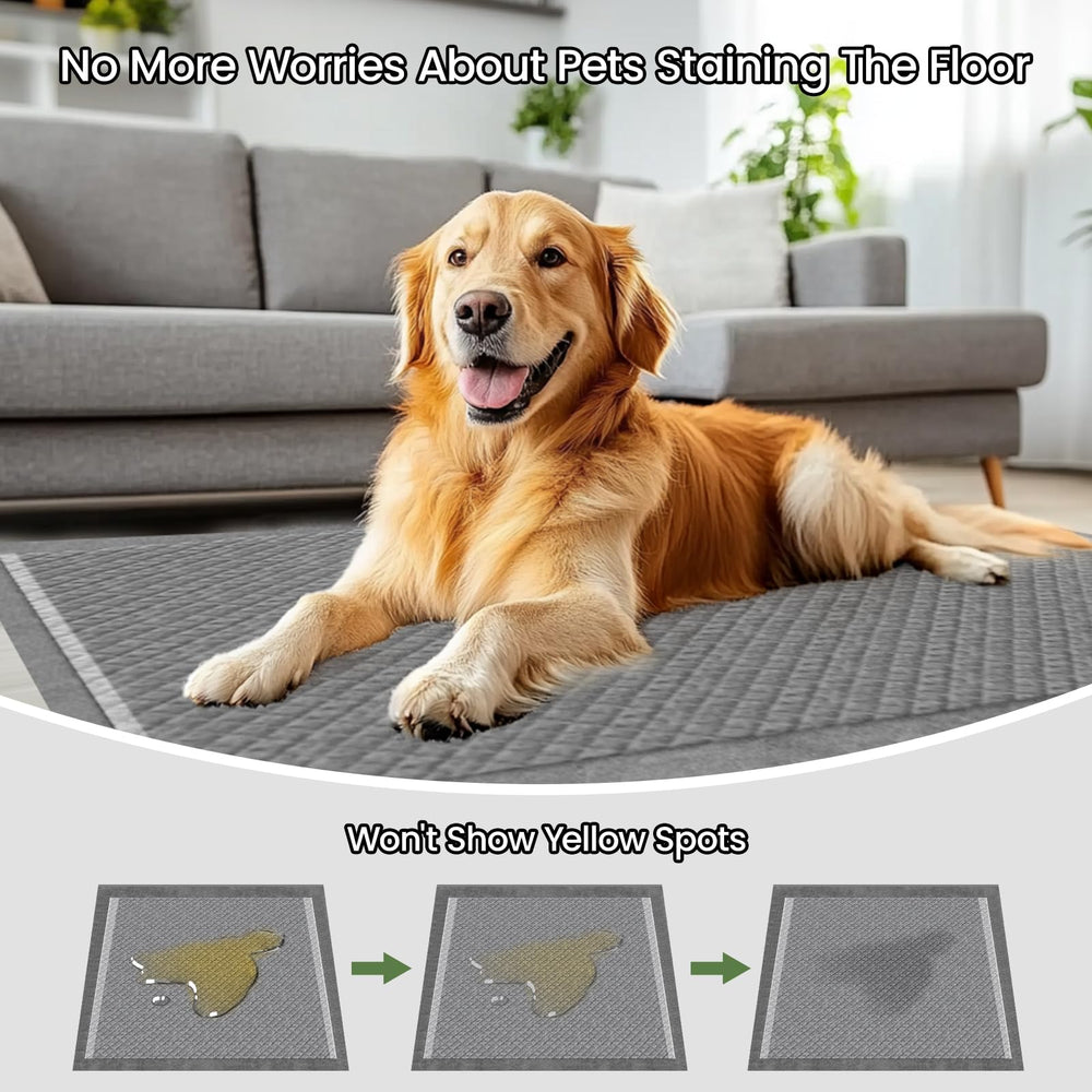 DOGGO DOUG absorption rapide montrée par six couches pour surface sèche.