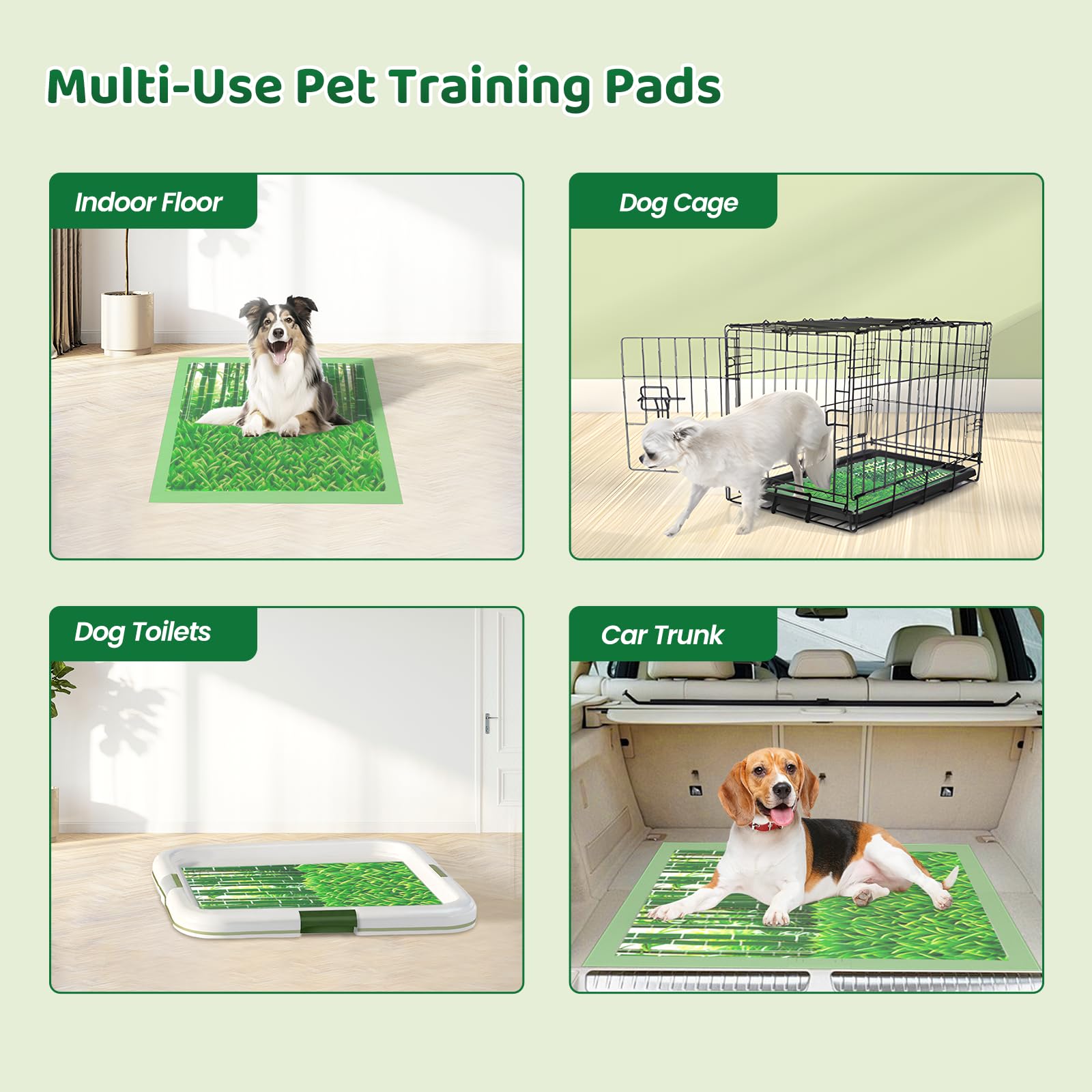DOGGO DOUG utilisation en cage ou maison pour apprentissage pratique.