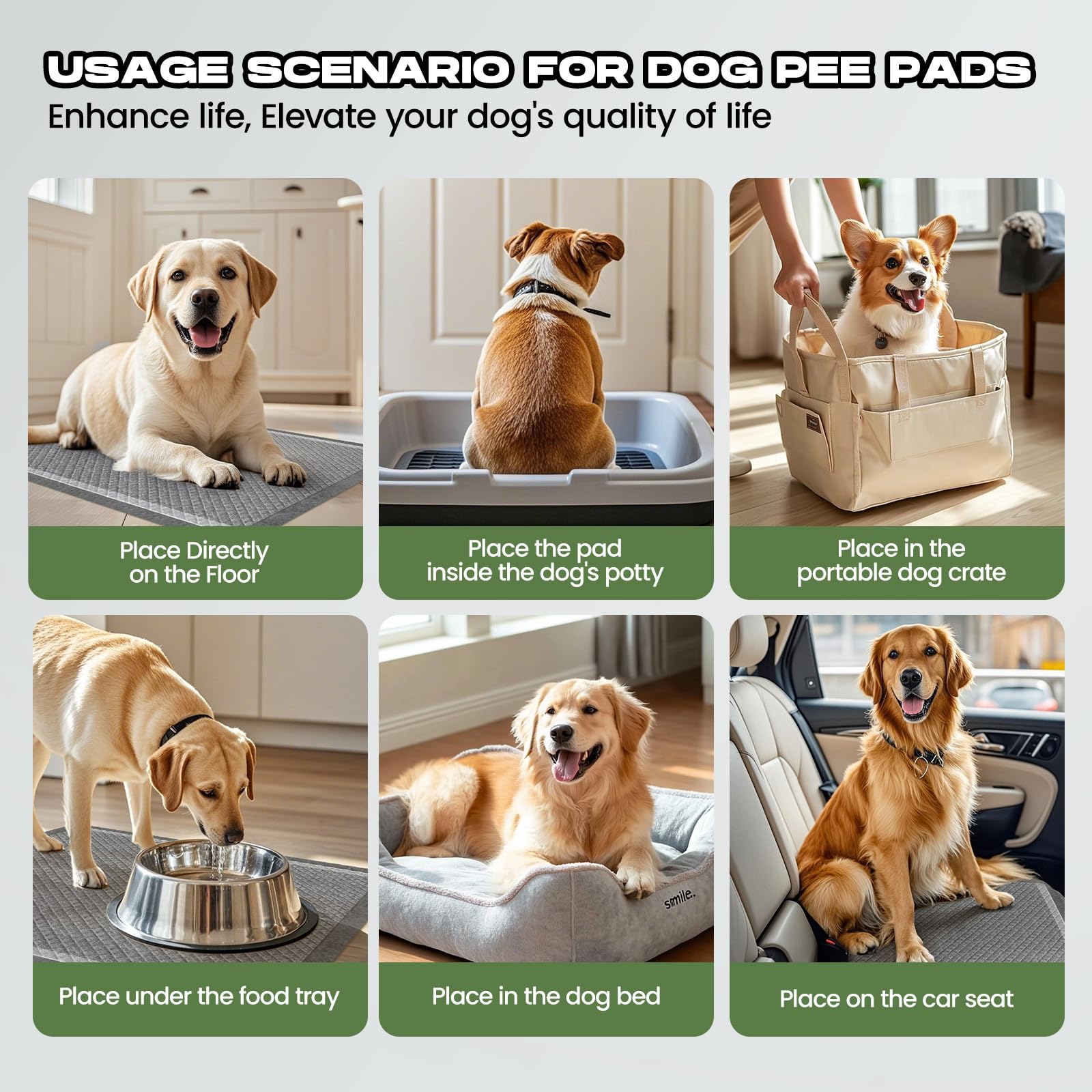 DOGGO DOUG sachet de 50 pièces pour une gestion durable.