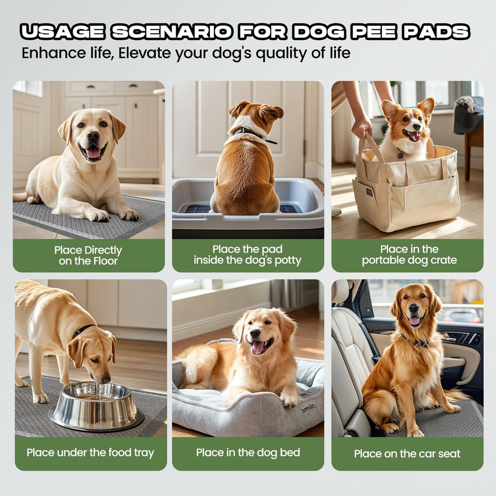 DOGGO DOUG sachet de 50 pièces pour une gestion durable.