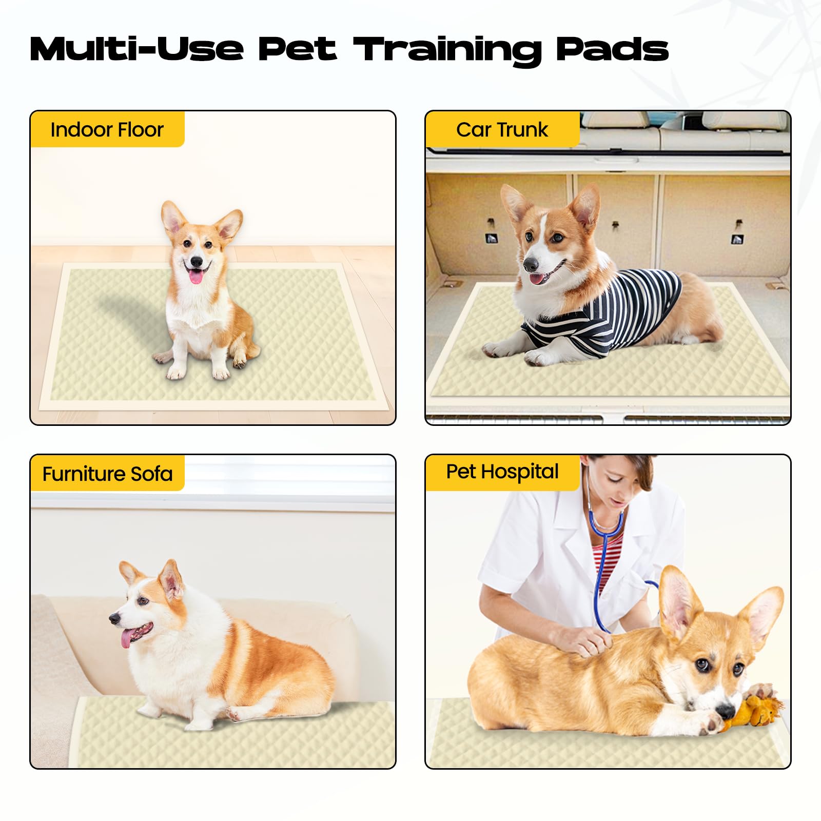DOGGO DOUG nettoyage facile et surface sèche