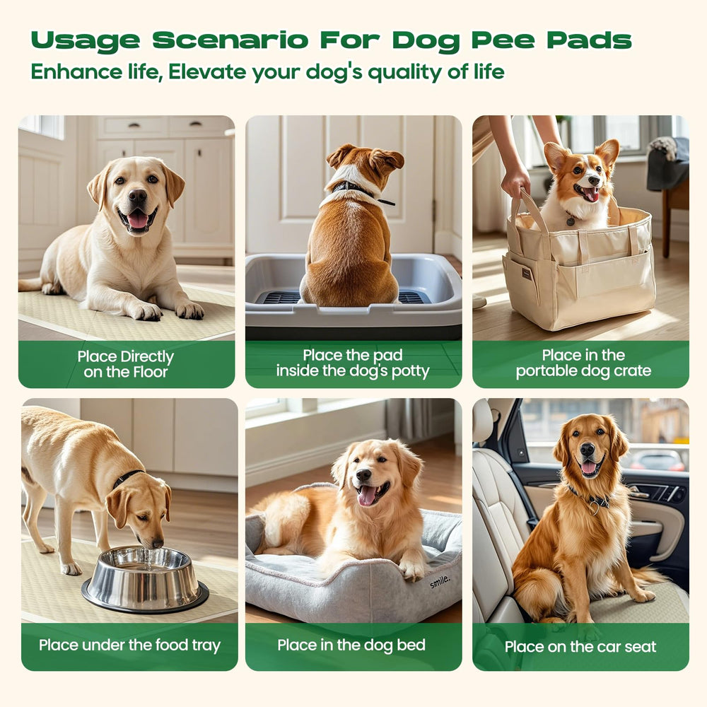 DOGGO DOUG Tapis usage quotidien, pratique et facile à remplacer