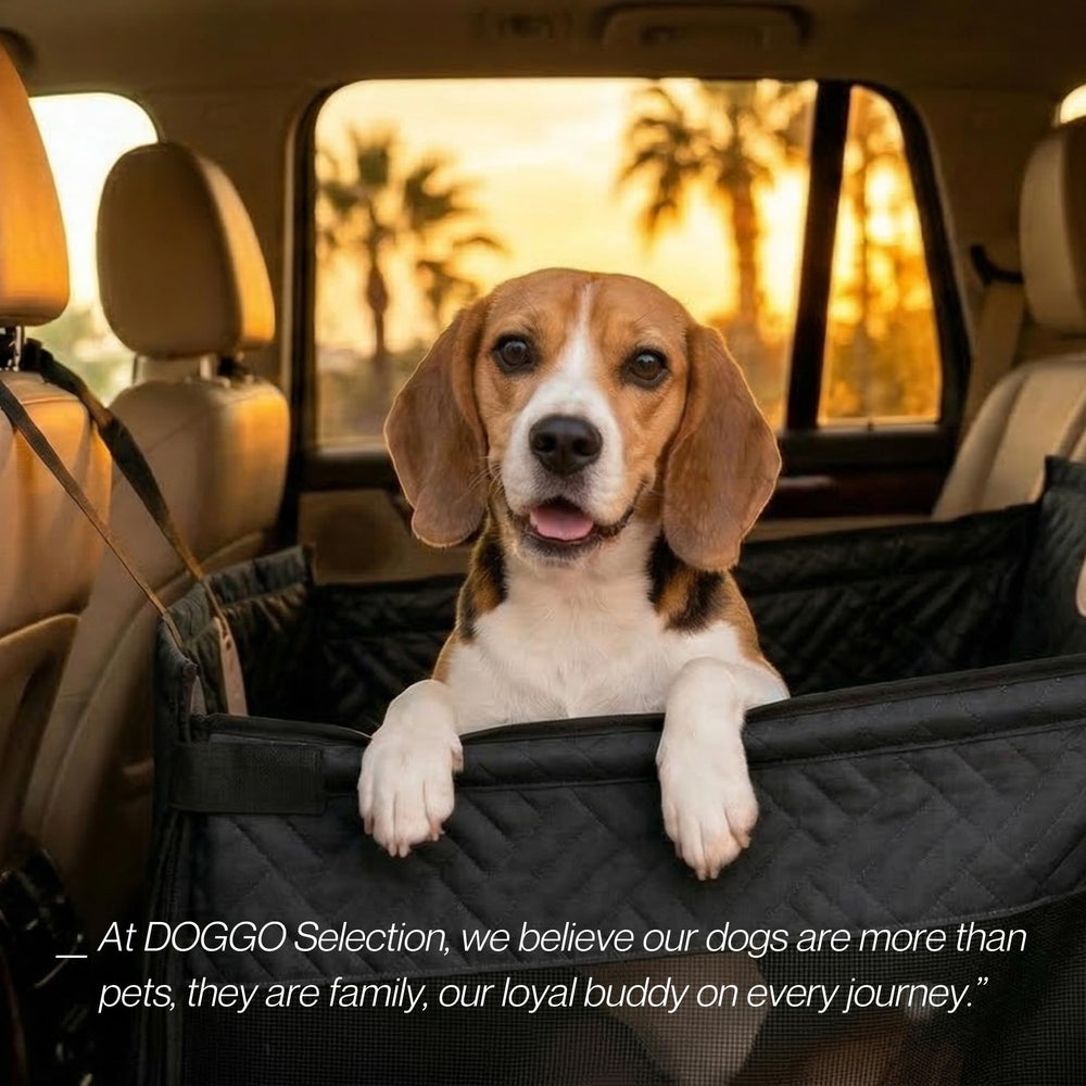 DOGGO Selection compatibilite-vehicules adaptable à voitures, SUV et camions.