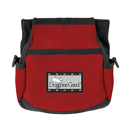 Doggone Good recompenses rapides: sac dentrainement pratique pour friandises.