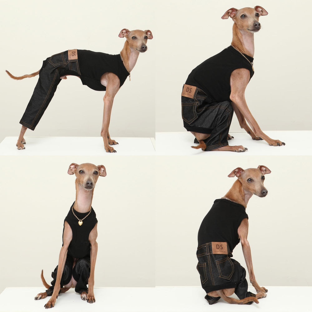 Doggystar bas denim elastique pour chien, liberté de mouvement.