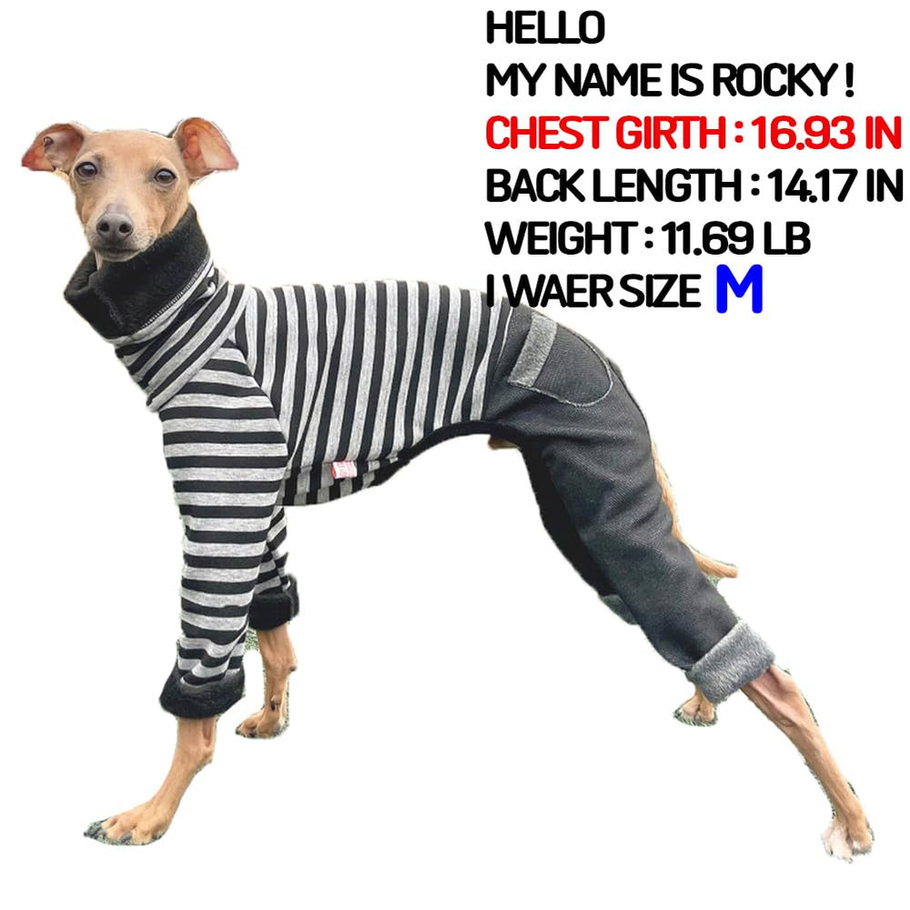 Doggystar col roulé denim noir, pratique et chaud.