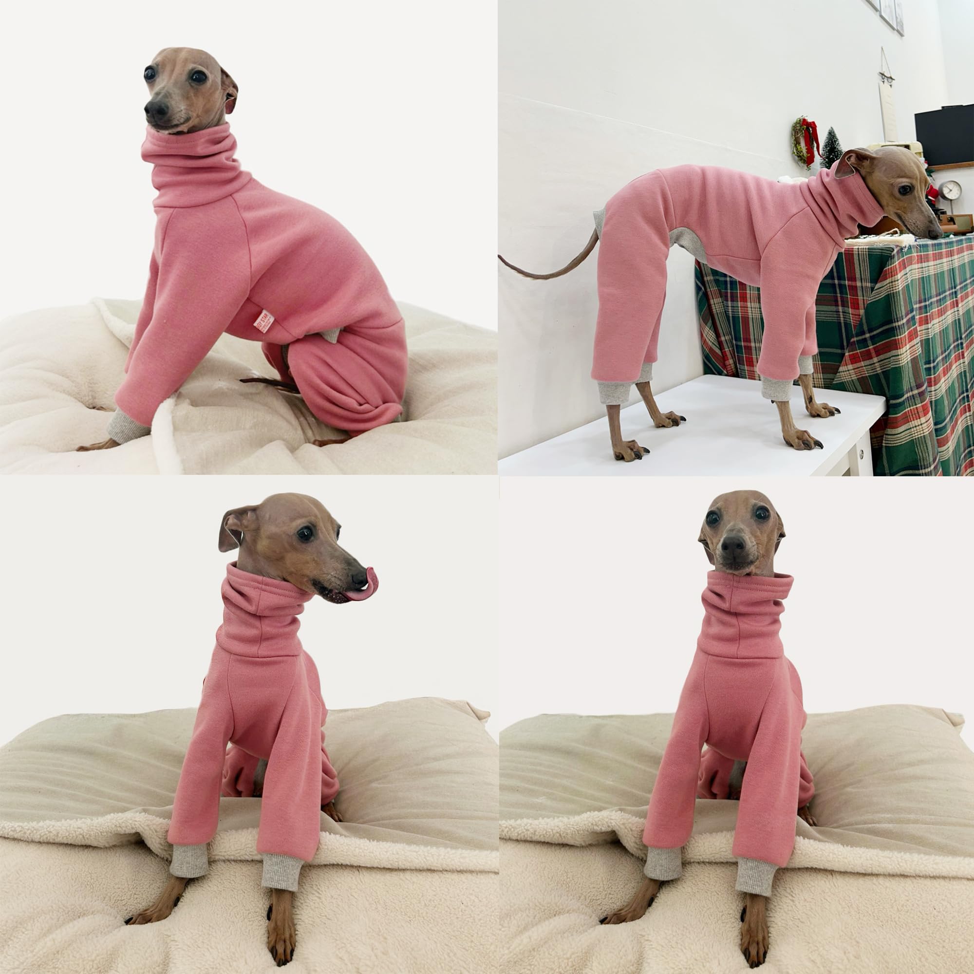 DoggyStar Col Roulé Lévrier Italien Rose Pâle — design pratique et facile à enfiler.
