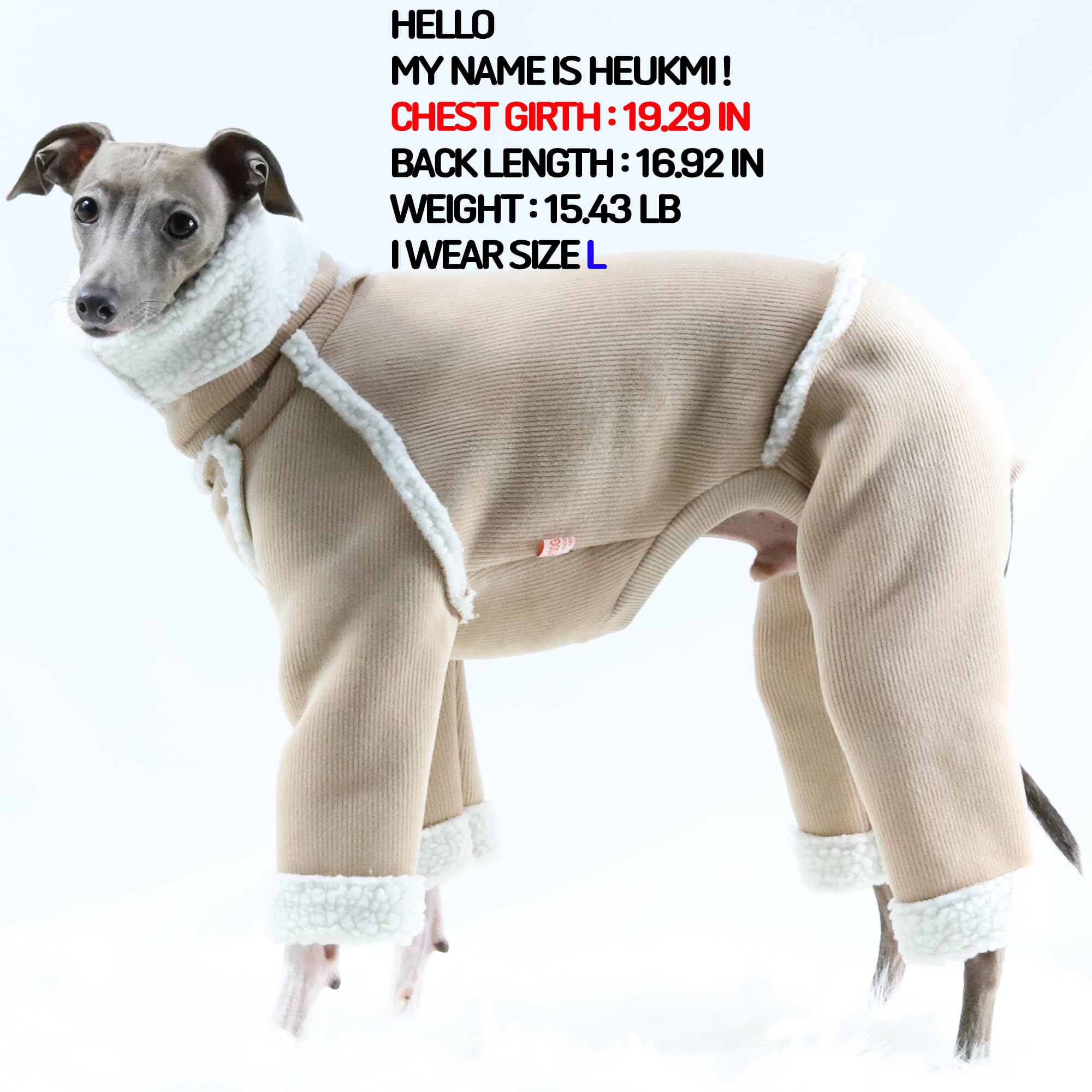 Doggystar col roulé et manches longues, coupe adaptée au lévrier.