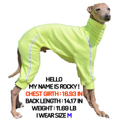 doggystar combinaison sport elastique pour whippet et lévrier, facile à enfiler