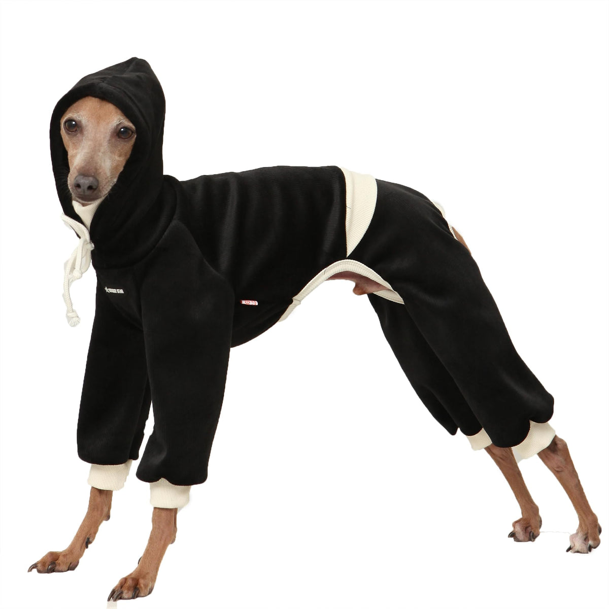 Doggystar combinaison capuche velours cotele noir, look élégant et confort durable.