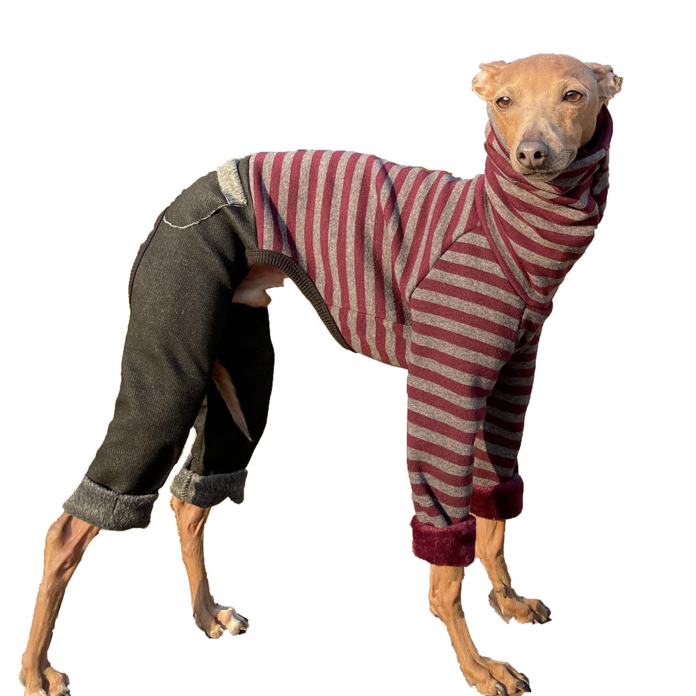 Doggystar combi denim Bourgogne ig vue frontale, chaleur et style.