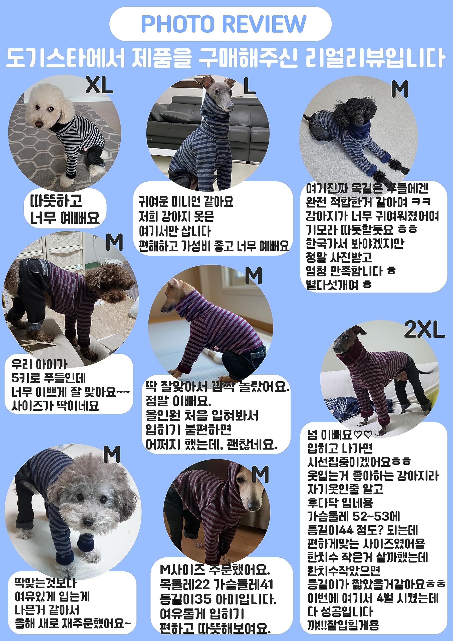 Doggystar motif rayures sur denim Bourgogne, look tendance pour ig.