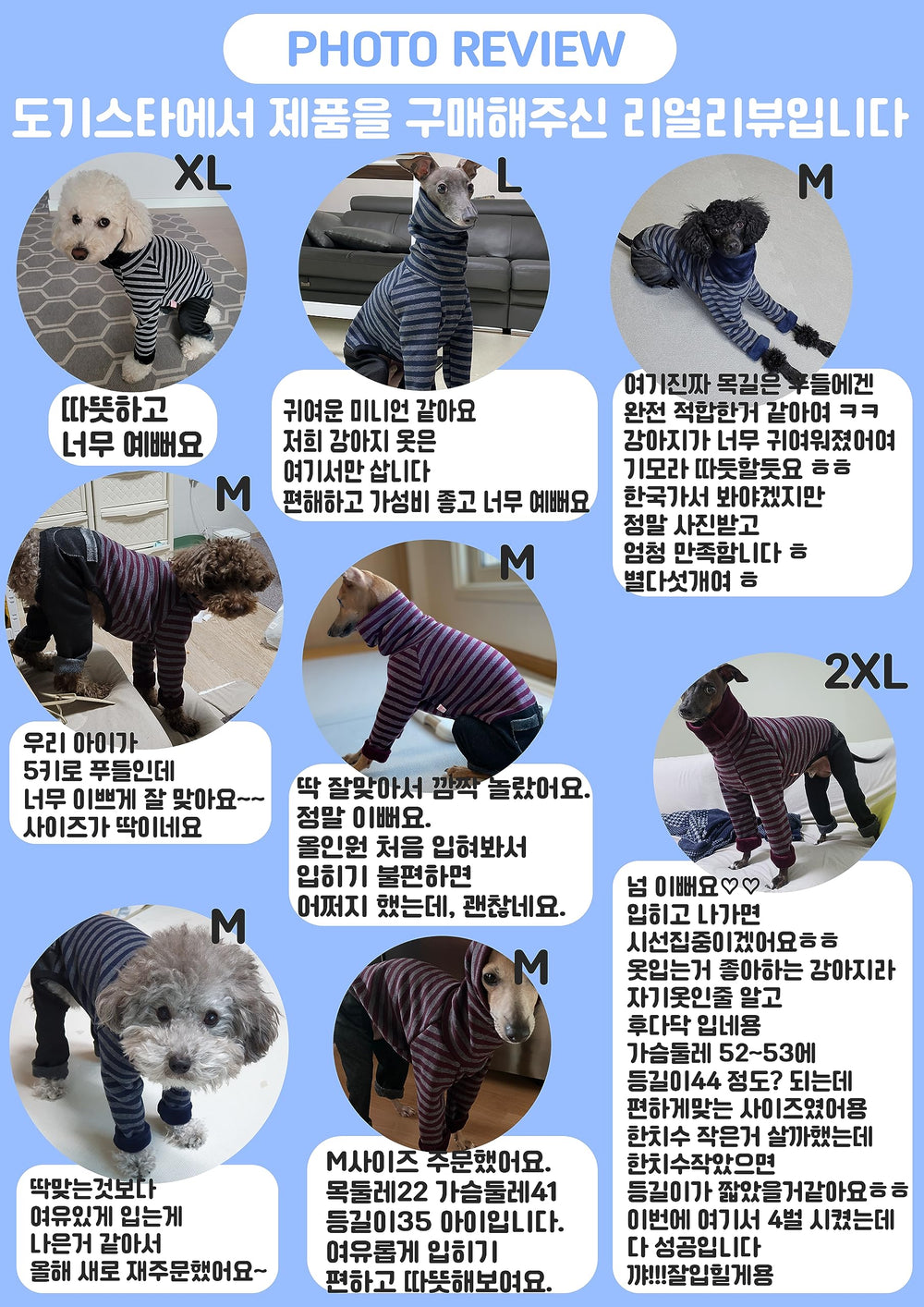 Doggystar motif rayures sur denim Bourgogne, look tendance pour ig.