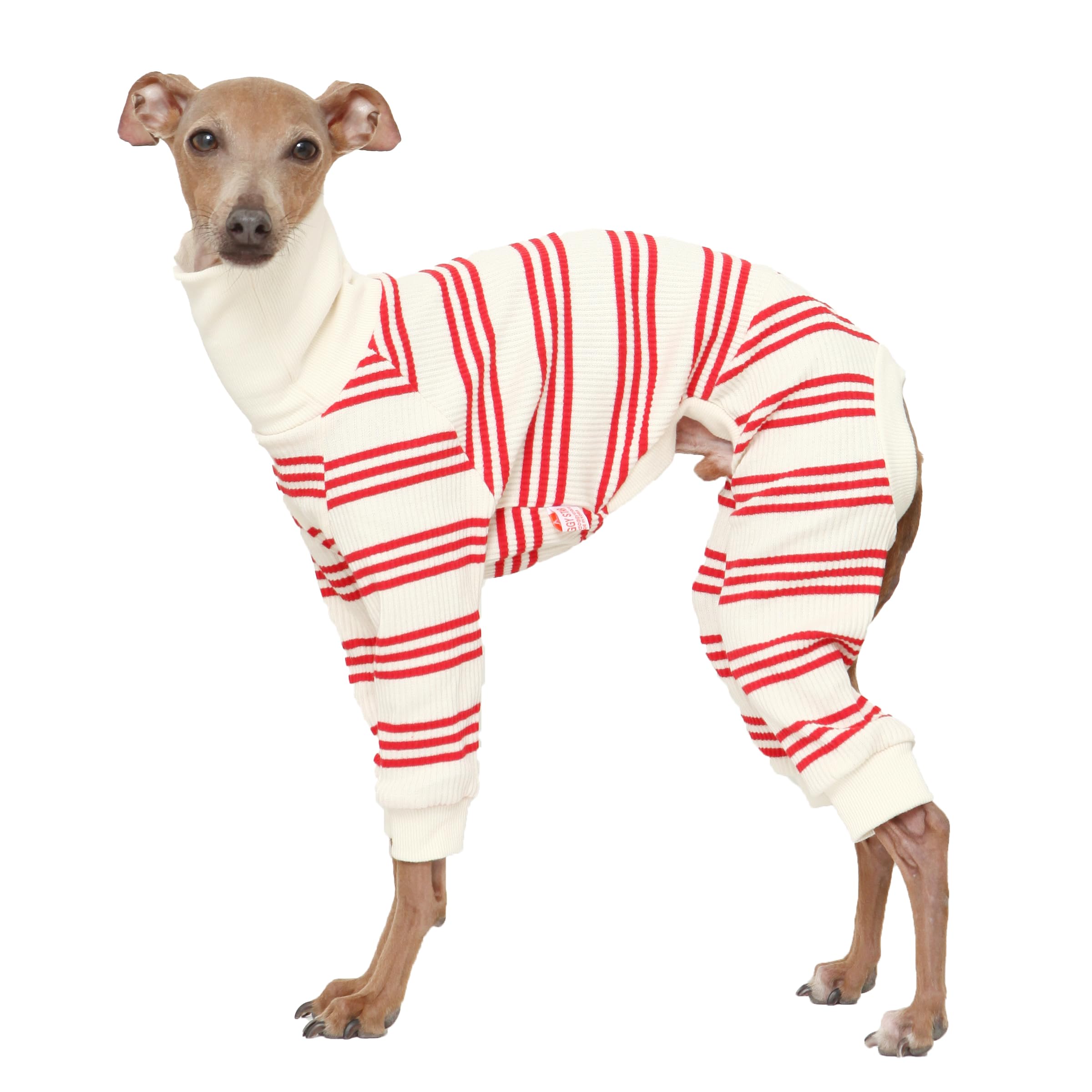 Doggystar combinaison greyhound rayures rouges, confort durable pour sorties quotidiennes.