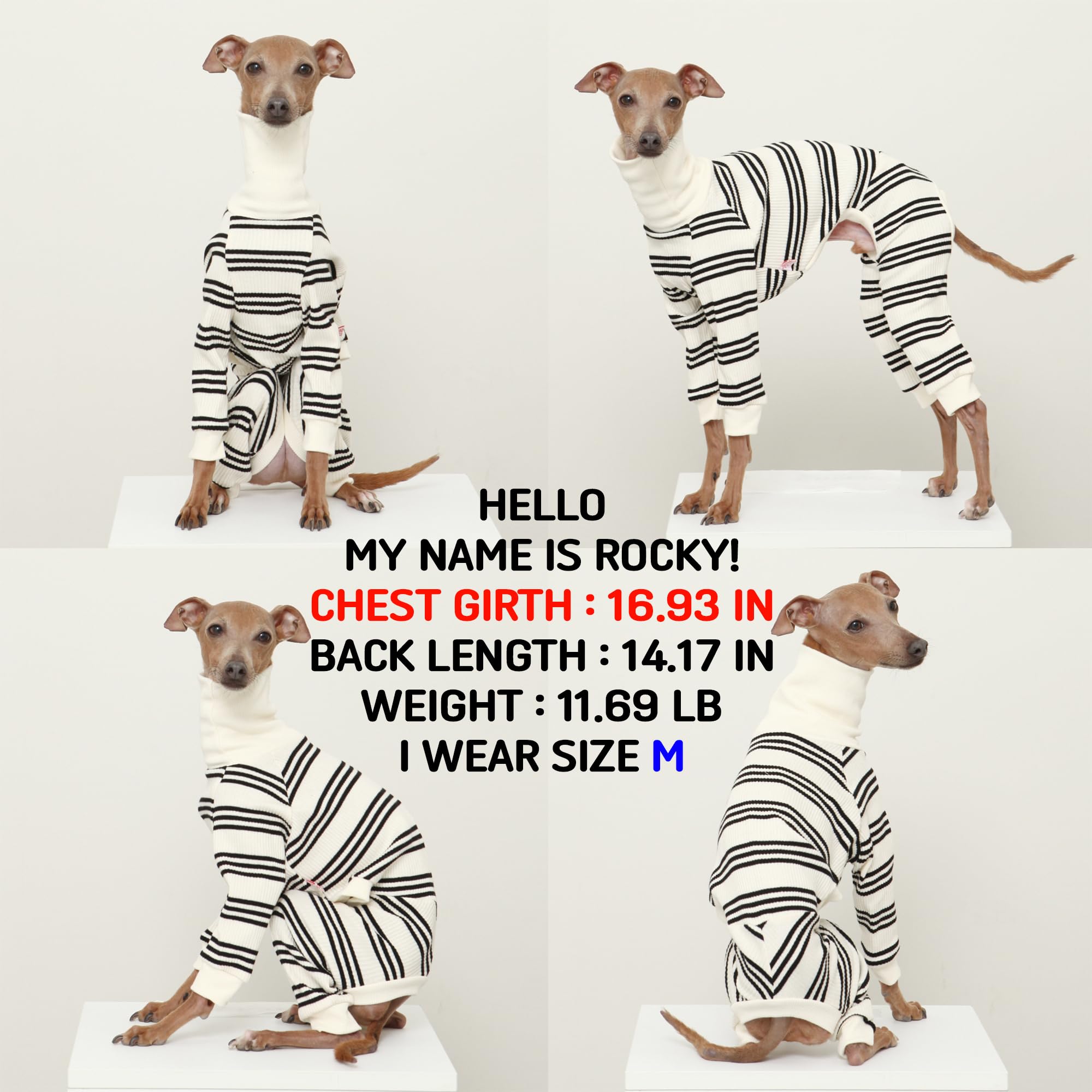 Doggystar combinaison pour chien lévrier italien élastique et facile à enfiler.