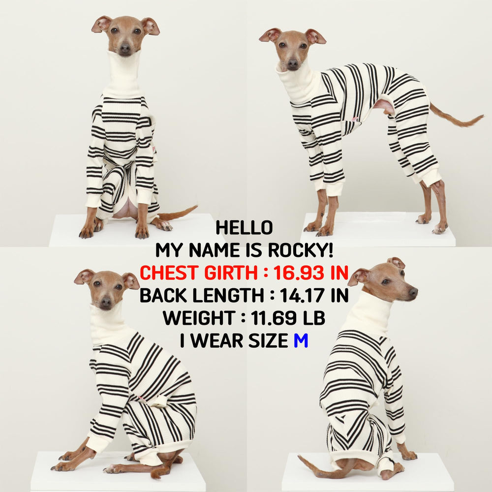 Doggystar combinaison pour chien lévrier italien élastique et facile à enfiler.