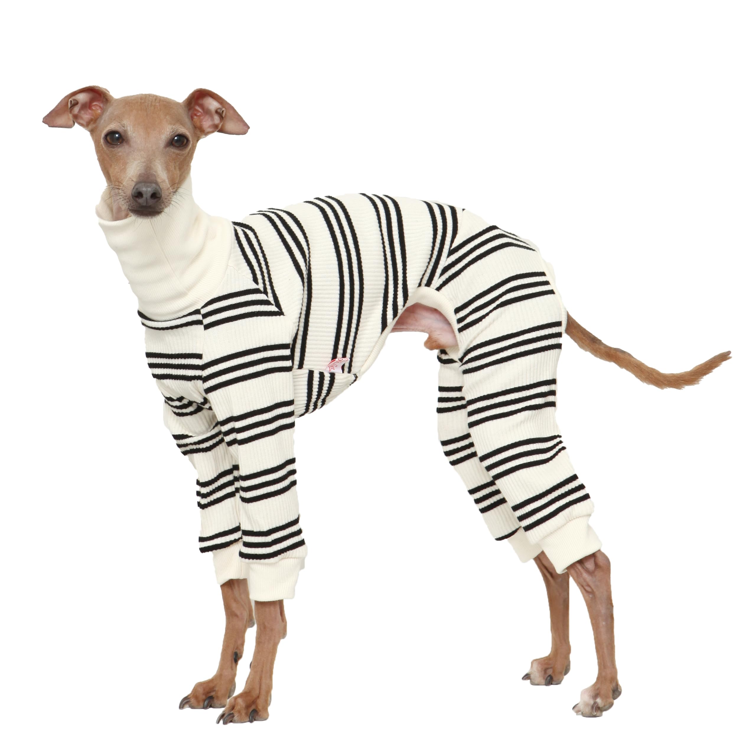 Doggystar combinaison pour chien lévrier italien rayures noires pour le confort quotidien.