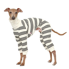 Doggystar combinaison pour chien lévrier italien rayures noires pour le confort quotidien.