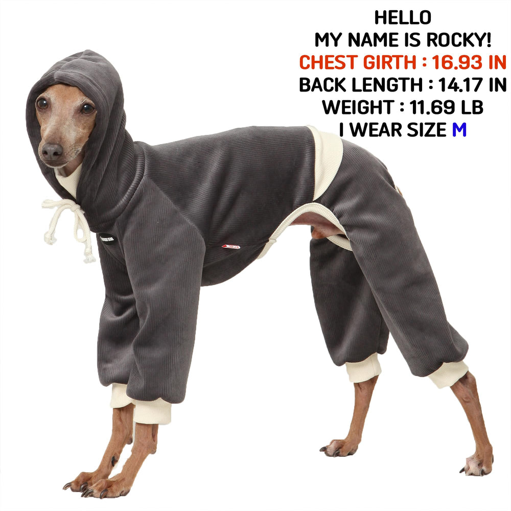 Coupe slim doggystar adaptée pour chiens sveltes comme l'Italian Greyhound.