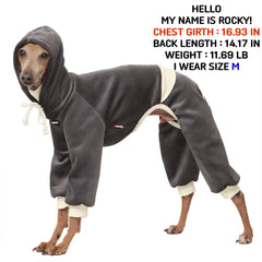 Coupe slim doggystar adaptée pour chiens sveltes comme l'Italian Greyhound.