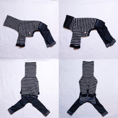 Doggystar denim extensible pour iggy, enfilage facile et ajustement sûr.