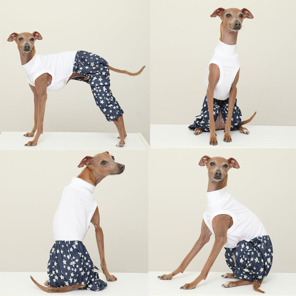 Doggystar design confort pour lévrier italien, liberté de mouvements pendant les jeux.