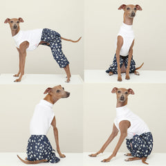 Doggystar design confort pour lévrier italien, liberté de mouvements pendant les jeux.