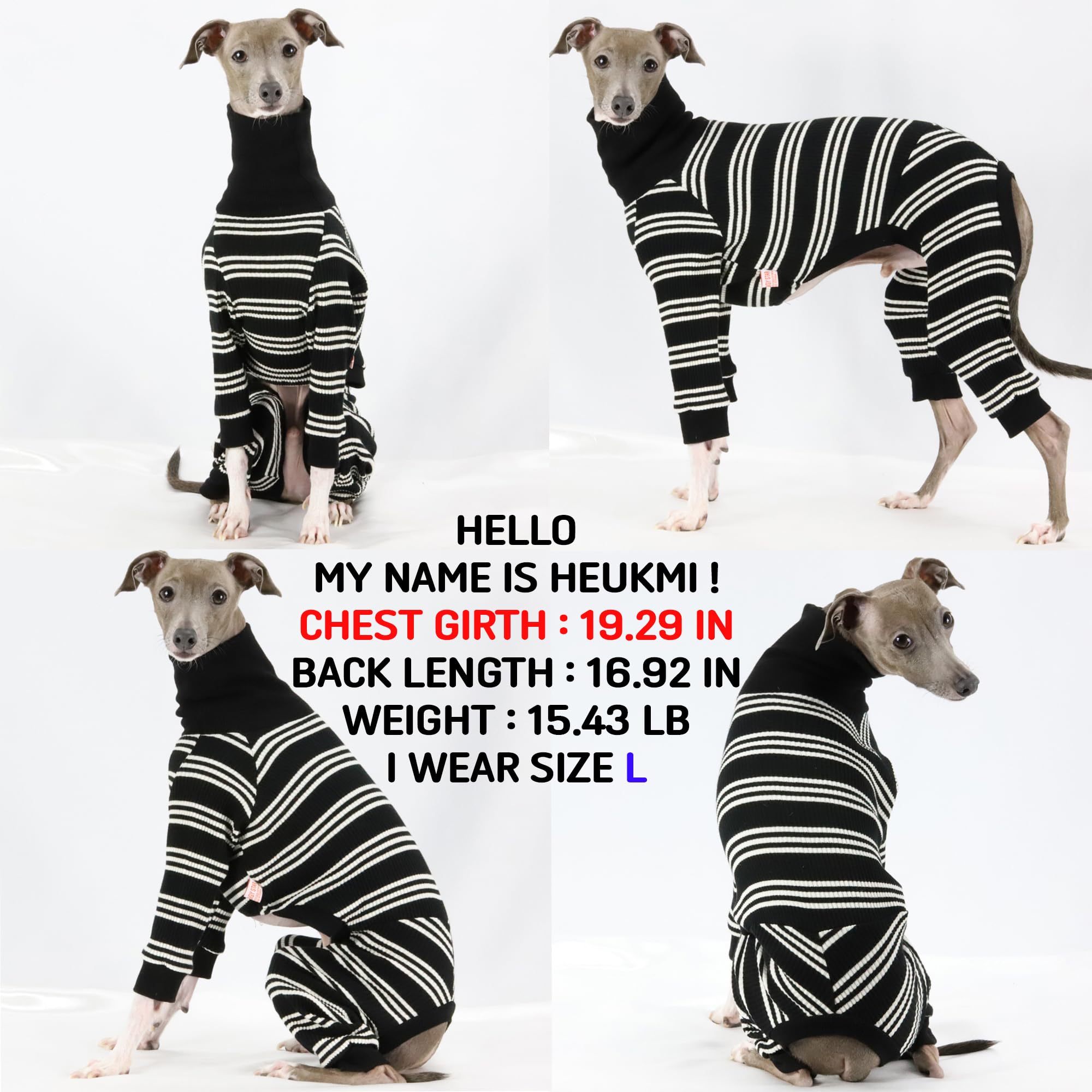 doggystar détail col roulé – col haut pour plus de chaleur lors des sorties
