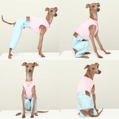doggystar detail-tissu-coton-elastique-denim levrier bleu, confort et liberté de mouvement
