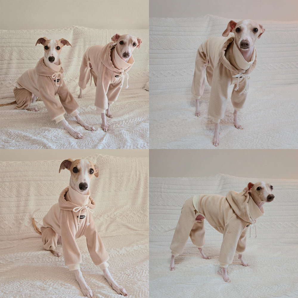 Doggystar détails capuche et logo, style premium et finition soignée.