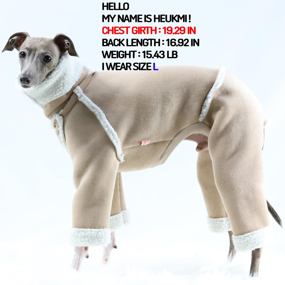 Doggystar dos coupe élancée adaptée au lévrier italien.