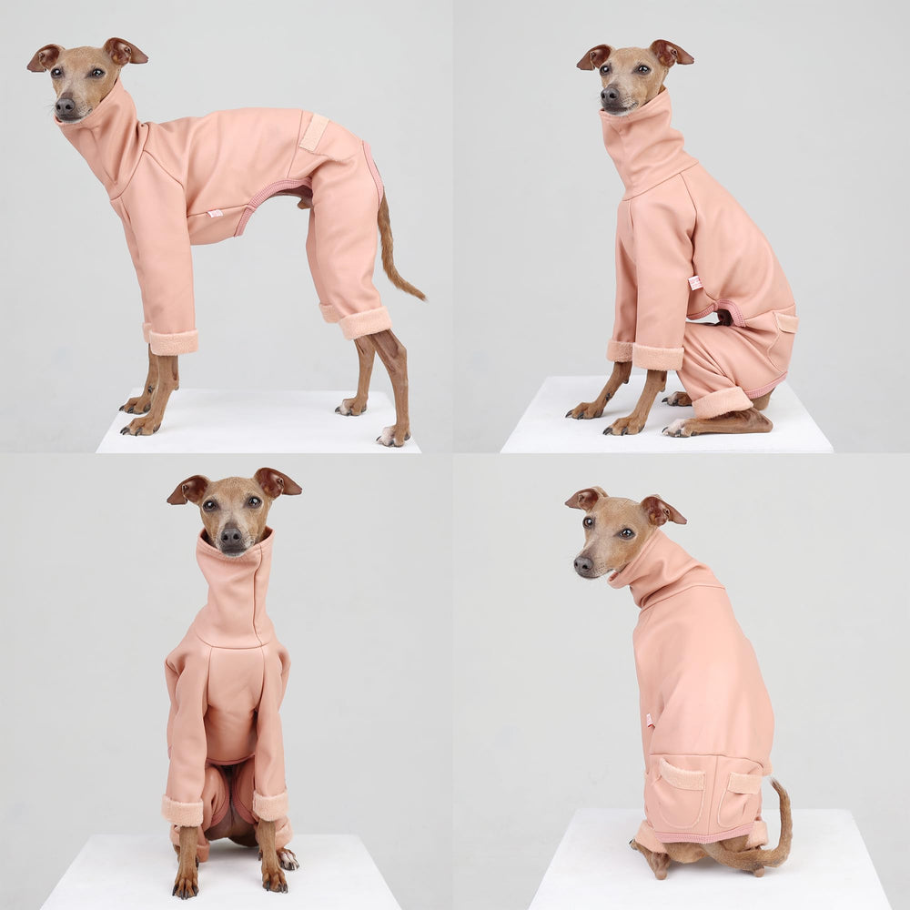 Dos long et manches longues Doggystar, coupe adaptée.