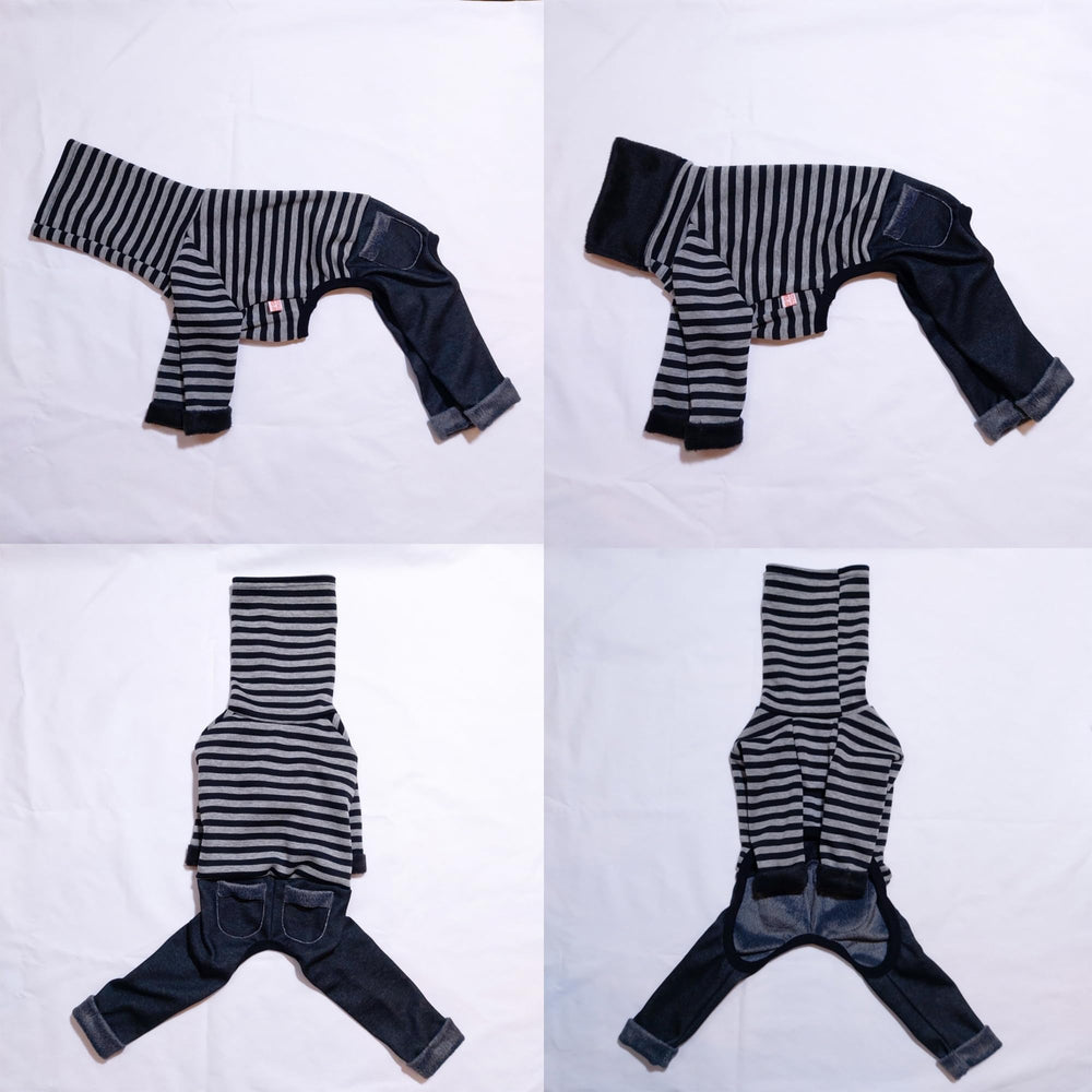 Doggystar doublure fleece intérieur pour chaleur douce.