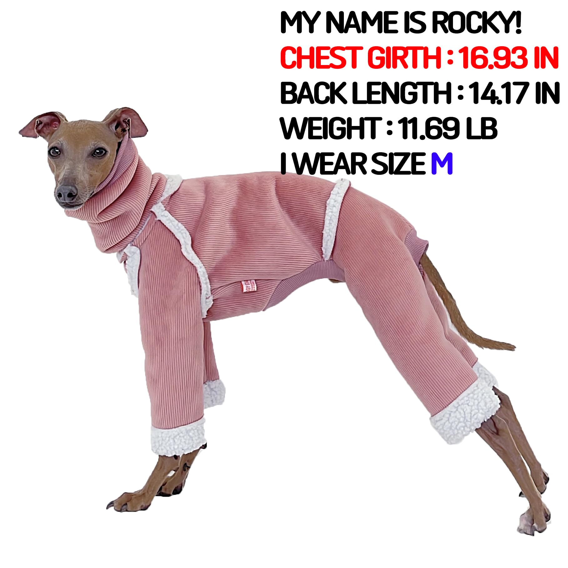 Doggystar doublure polaire chaude, confort supplémentaire pour balades.