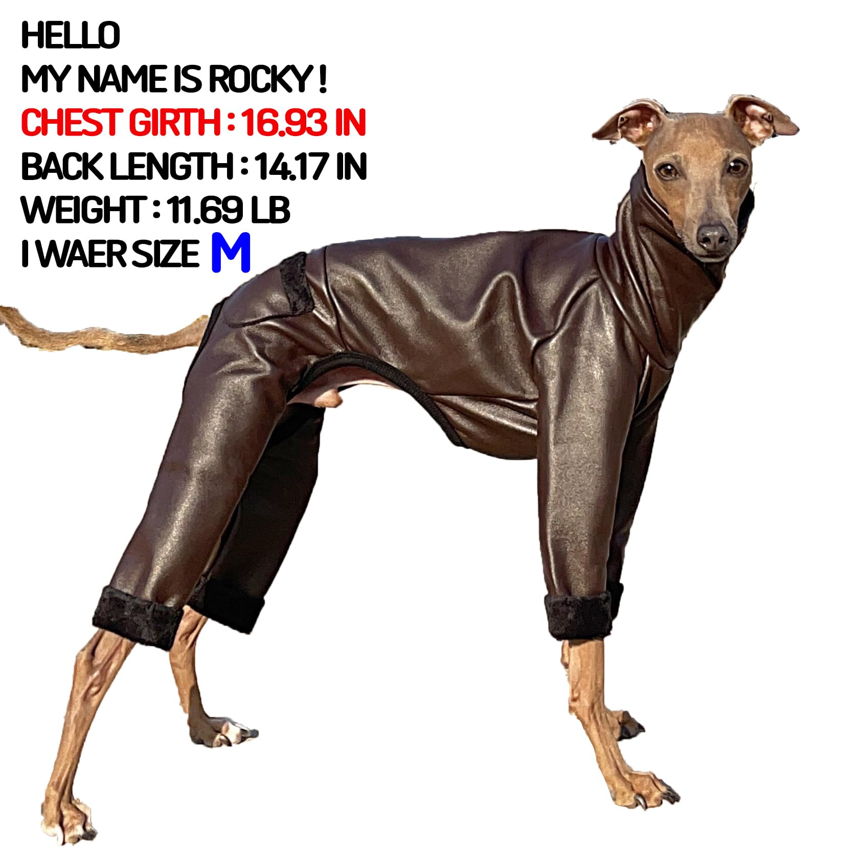 Doublure polaire douce du manteau doggystar offre chaleur confortable.